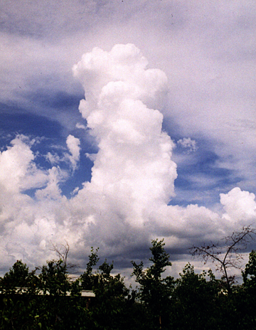 Towering Cumulous Cloud